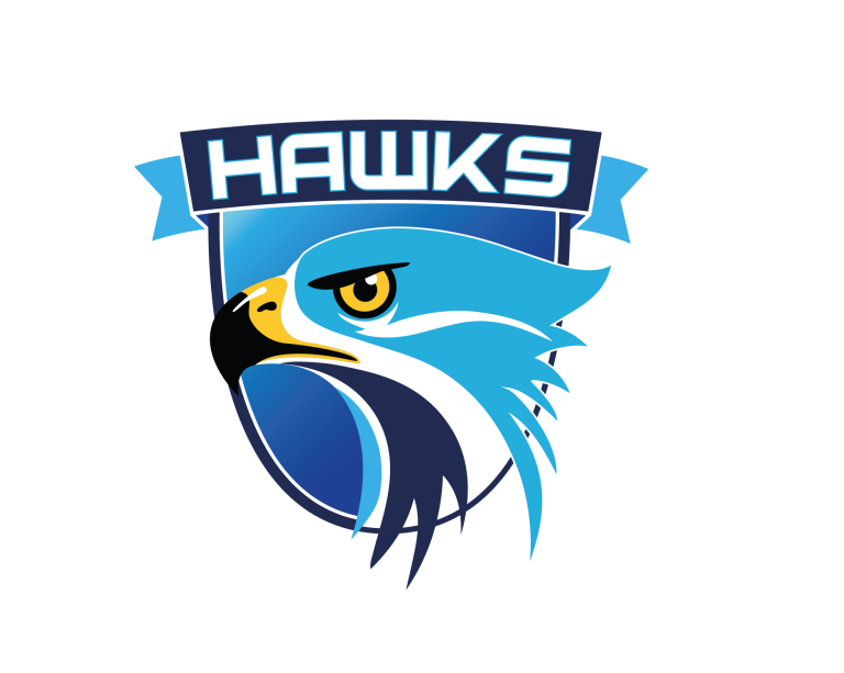 HAWKS RGB