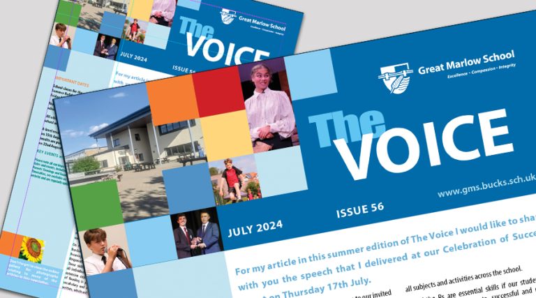 The Voice newsletter icon