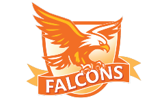 Falcons